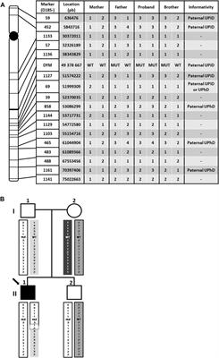 Case Report: Precision genetic diagnosis in a case of Dyggve-Melchior-Clausen syndrome reveals paternal isodisomy and heterodisomy of chromosome 18 with imprinting clinical implications